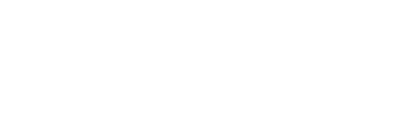 Adobe_Technology_Partner_badge_Silver_white